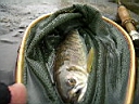 2007-05-01 042.JPG